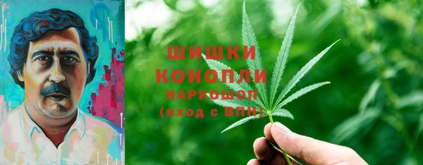 эйфоретик Осташков