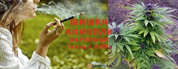 эйфоретик Осташков