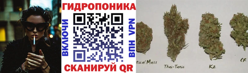 Каннабис Amnesia  мега tor  Арск  где купить наркотик 